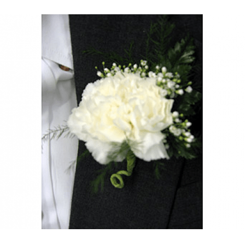 Choose a classic white carnation boutonniere for your family members and/or pallbearers.