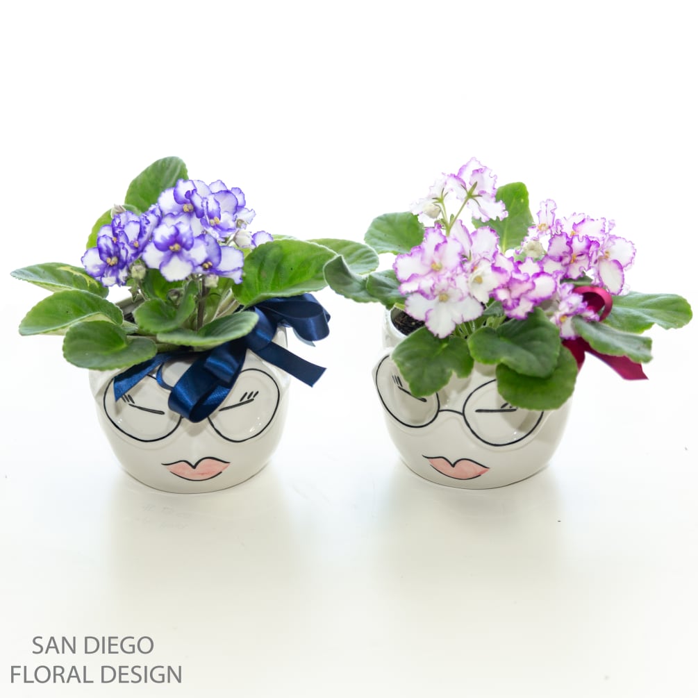 Two super adorable planters with African violets are sure to brighten up