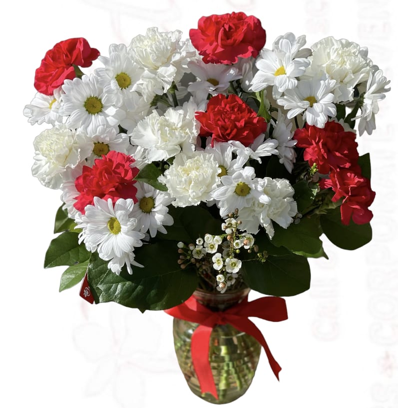 12 Red & White Carnations by Orchids Little Secret Boutique