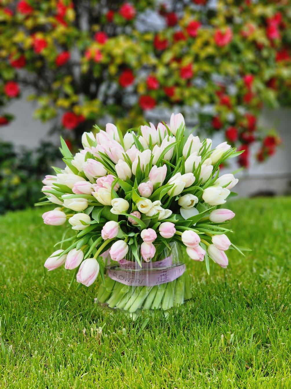 Tulips are one of the most romantic flowers, as they look very