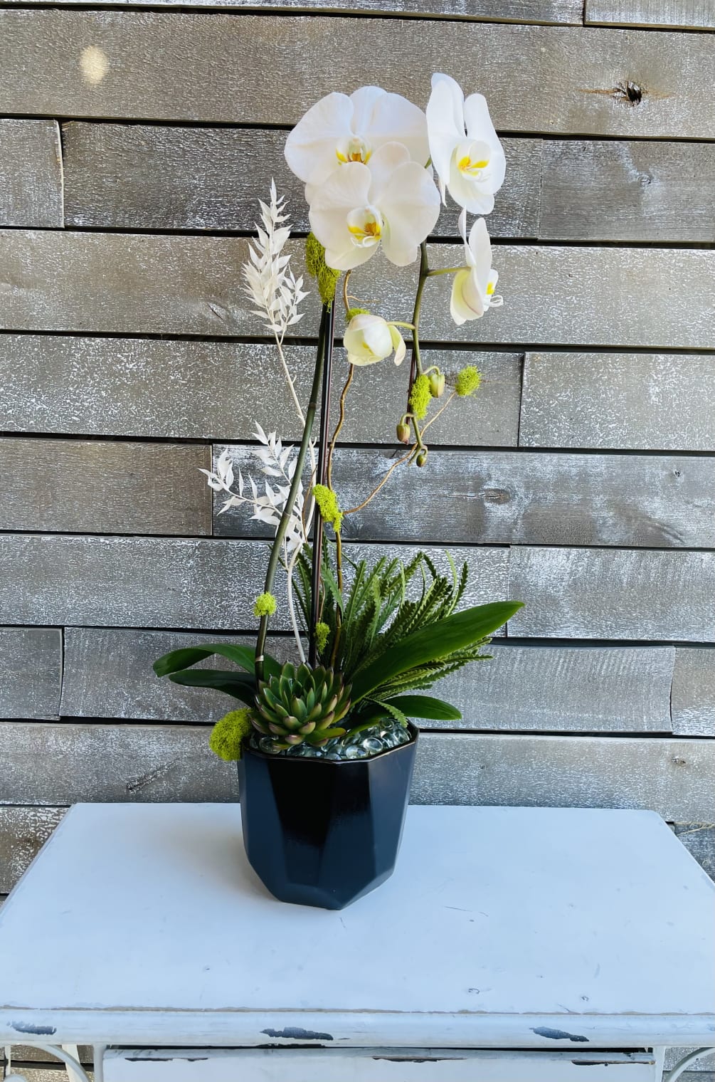 White phalaenopsis orchid in a contemporary container with some fine finishing touches