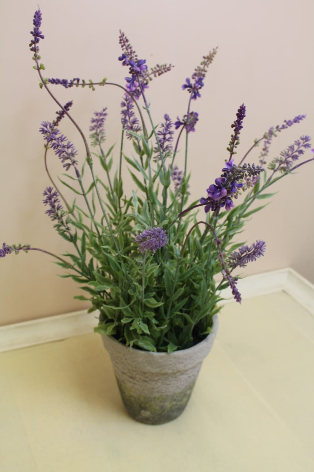 a beautiful display of lavender in a moss covered pot