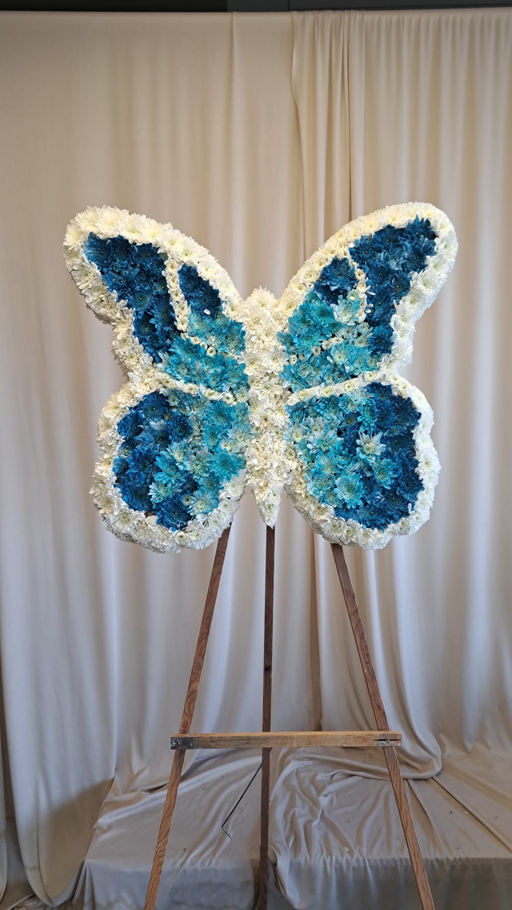 Ombr&eacute; blue butterfly 