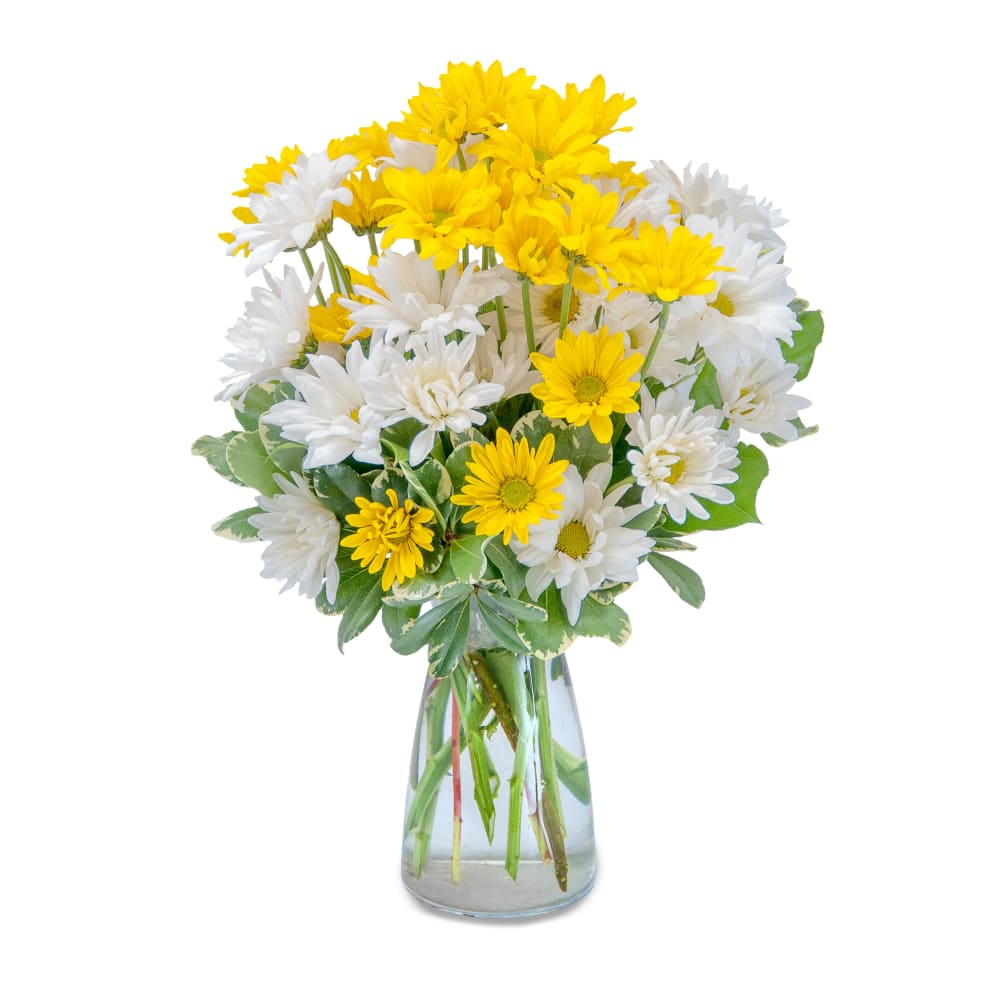 A clear glass vase overflowing with yellow and white daisy chrysanthemums and