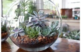 A lasting gift for a lasting relationship, terrariums are a florist specialty