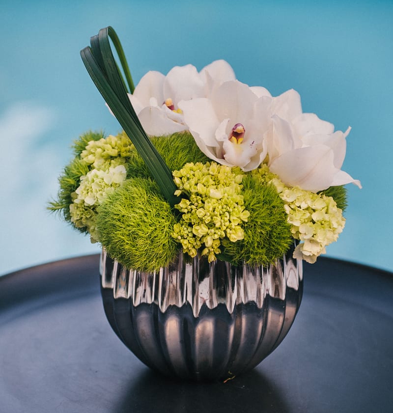 Delicate white cymbidium orchids surrounded by a bed of green hydrangea and