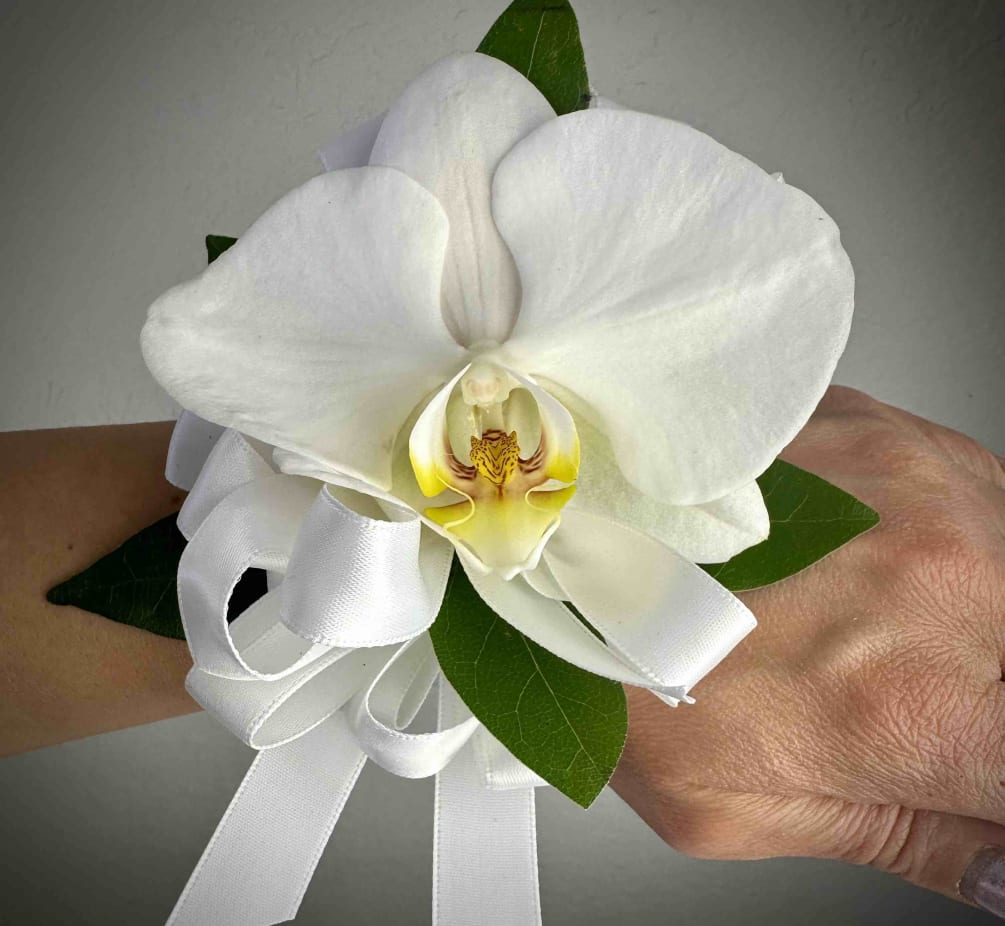 Classic white orchid wrist corsage 
-One size fits most 