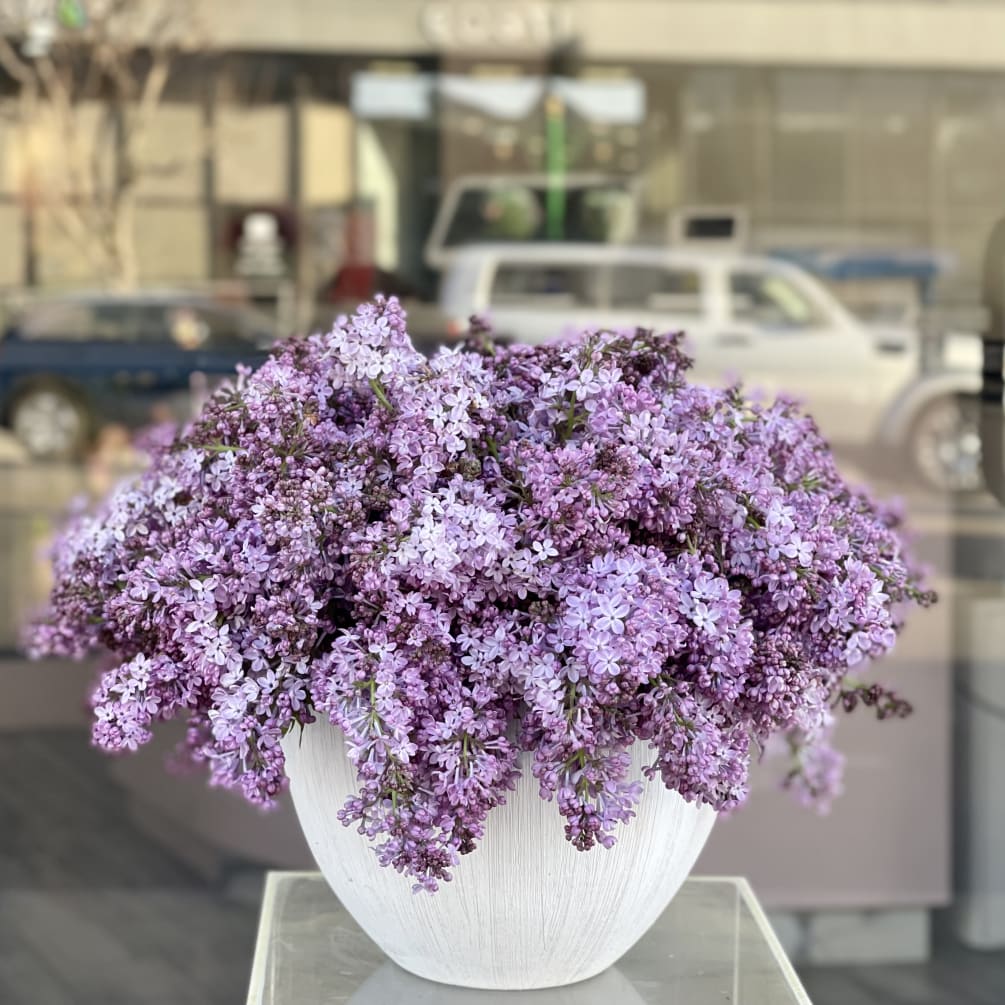 Lilac vase
fresh flowers