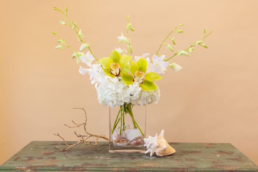 A gorgeous, contemporary beach side arrangement of tropical white dendrobium and green