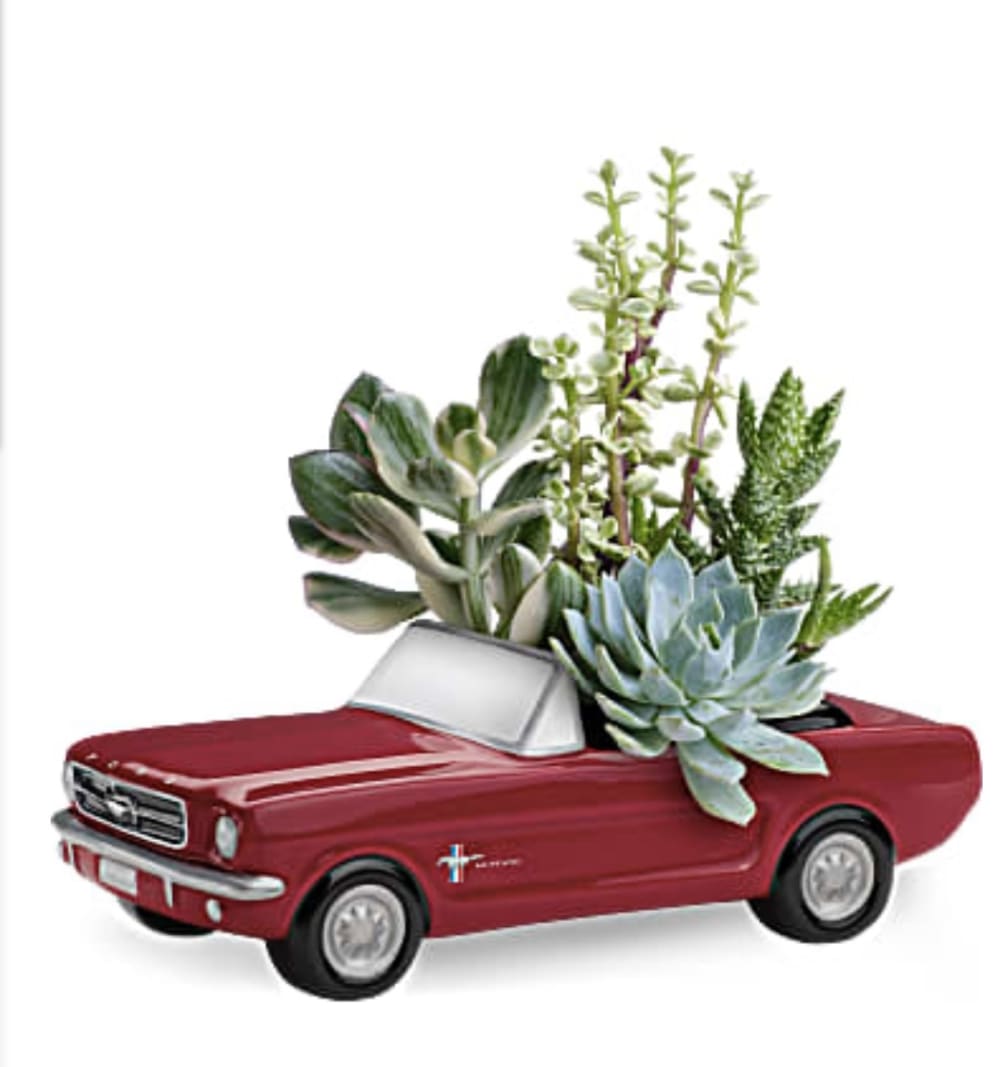 Get the motor running with this collectible gift! In the perfect shade
