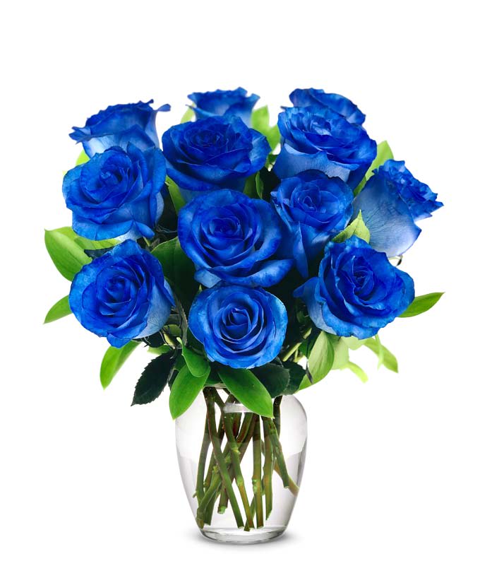 12 blue roses in vase