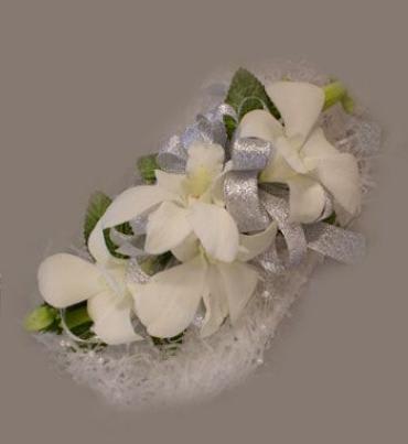 This corsage consists of dendrobeum orchid corsage accented with fancy ribbon.

 