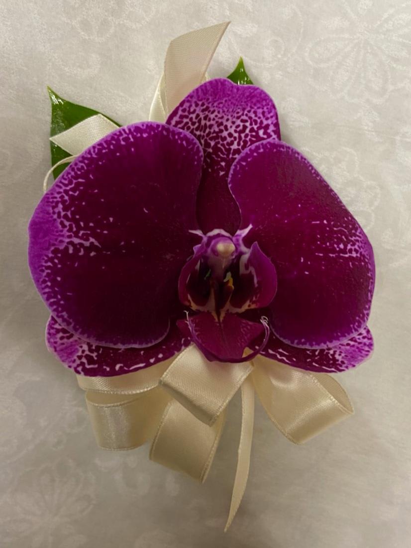 A pin on corsage made of a magenta phalaeonopsis orchid and accent