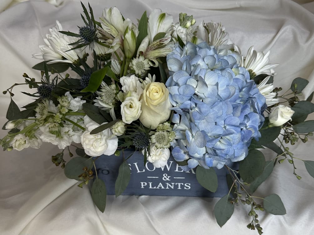 Beautiful blooms of Blue and White Hydrangeas accented with white roses and