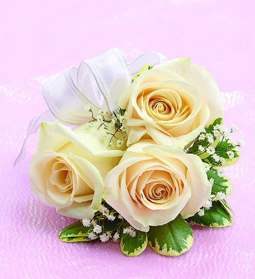 Wristlet corsage of three white roses adorned with white ribbon and baby&#039;s