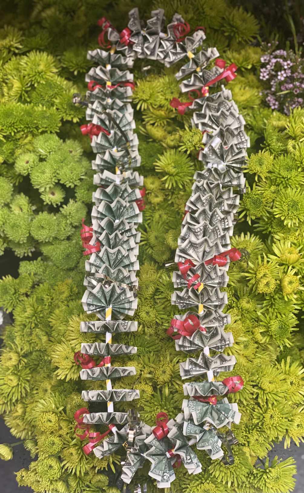 Dollar in lei outlet