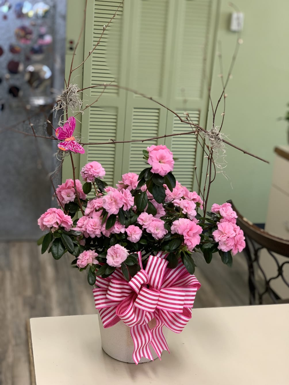8" azalea plant in basket with Twigs and Butterfly. by Llanes Flower