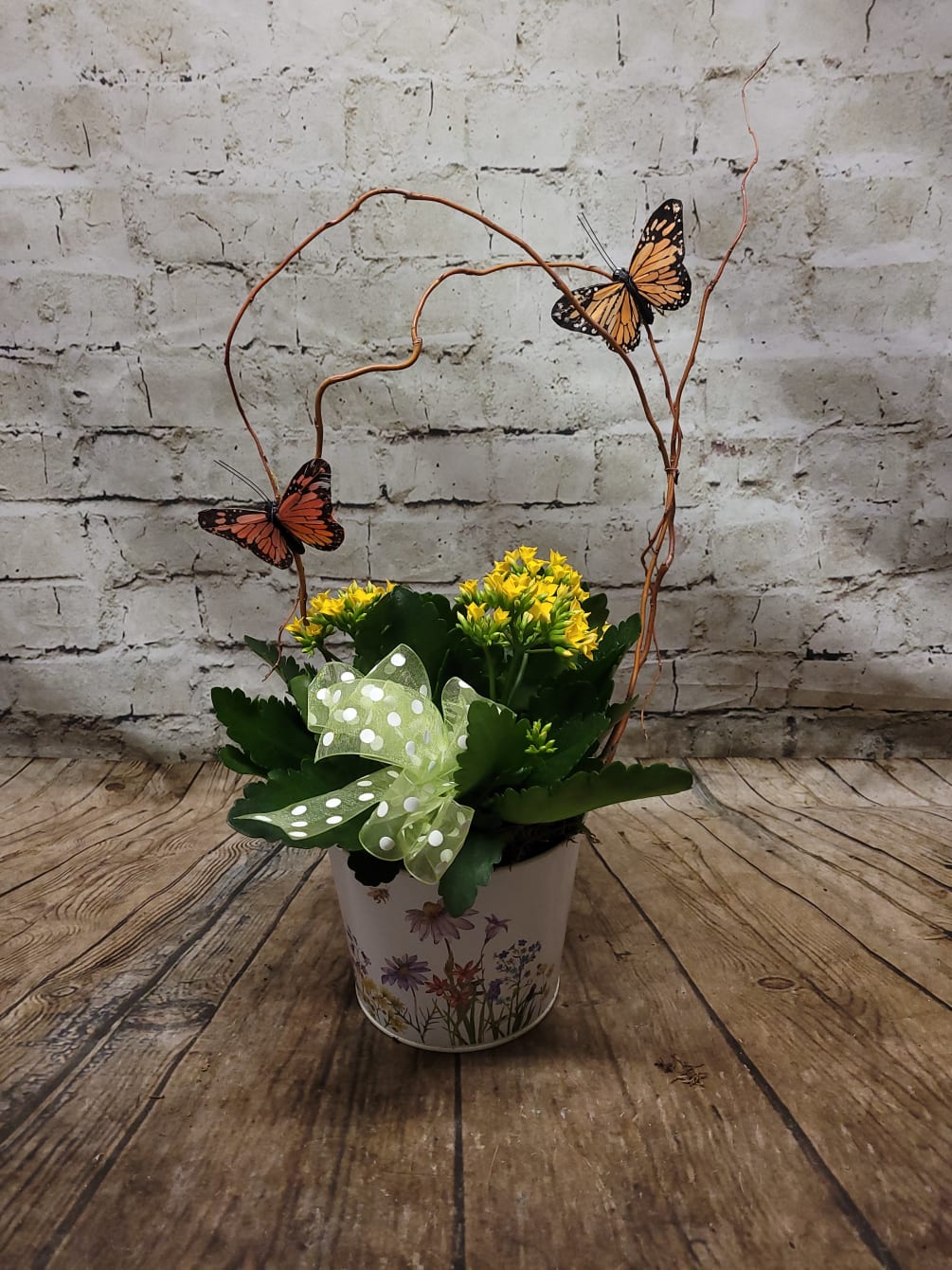 Decorated with butterflies and presented in a cheerful spring planter, kalanchoe is
