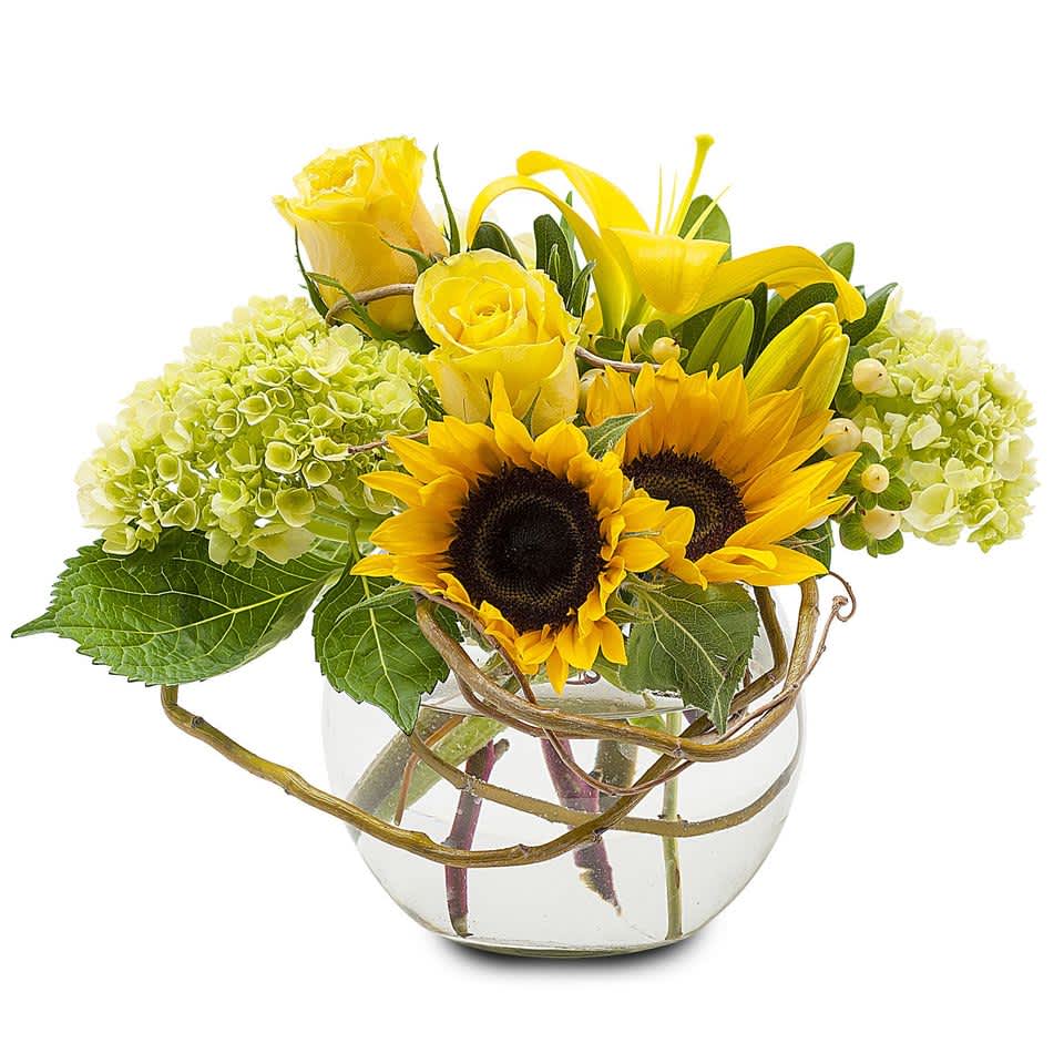 A burst of Sunflowers with yellow Lilies, Roses and Hydrangea in a