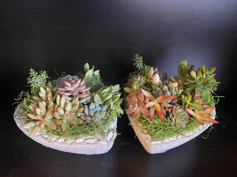 LARGE COMBO HANDMADE SUCCULENT GARDEN POTS includes several succulents that differs in