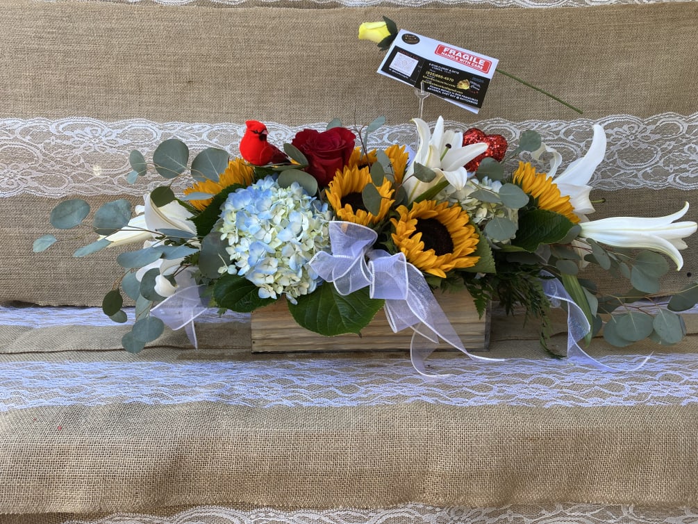 One star rose hot sale