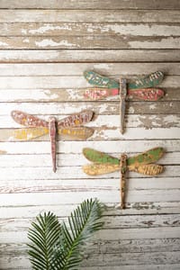 The perfect gift for the nature lover in your life! This dragonfly