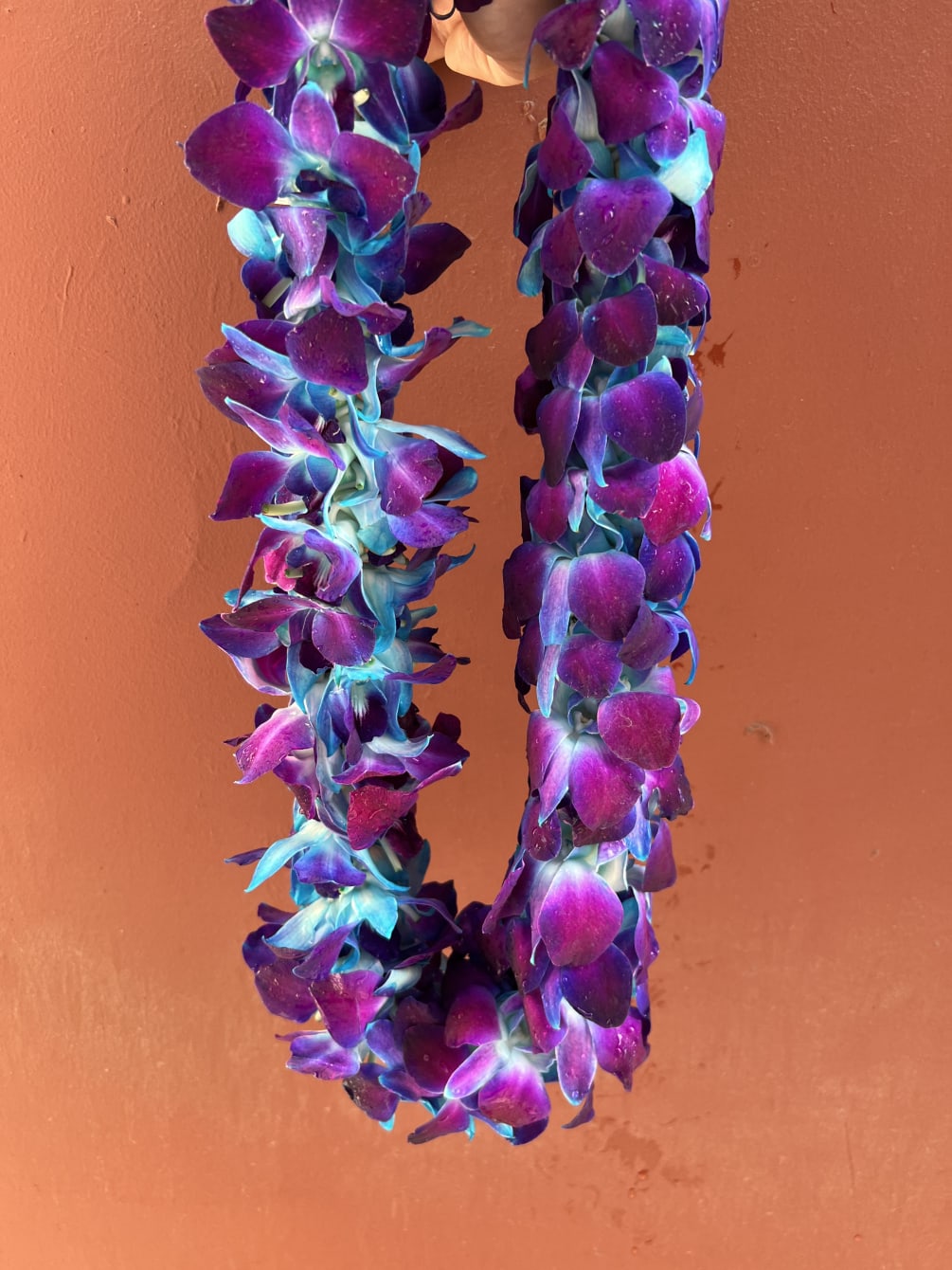 Graduation Lei Blue Orchids (DOUBLE THICKNESS) by House of Flowers