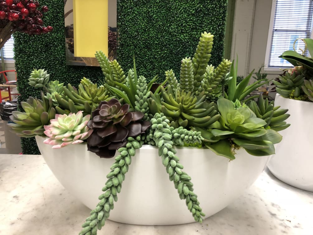 A planting of easy care seasonal succulents planted in a ceramic vessel