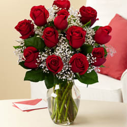A dozen red roses with baby&#039;s breath and a clear glass vase
#spring
#summer