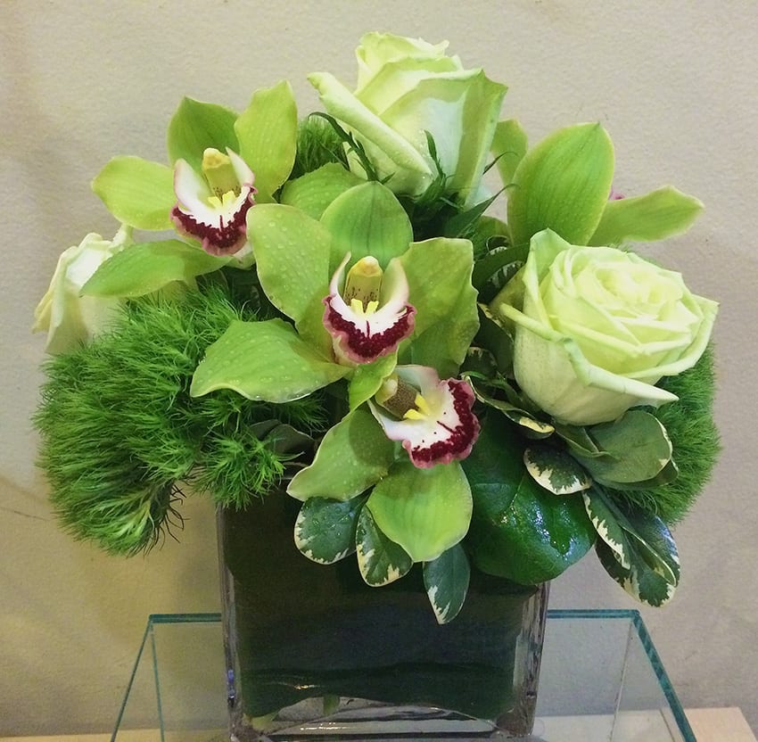 Gorgeous green cymbidium orchids, green trix, and green tea roses for a