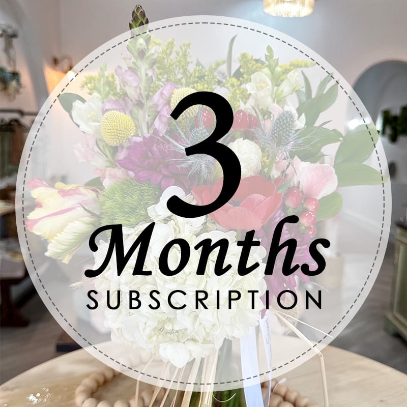 Biweekly Subscription - 3 Months