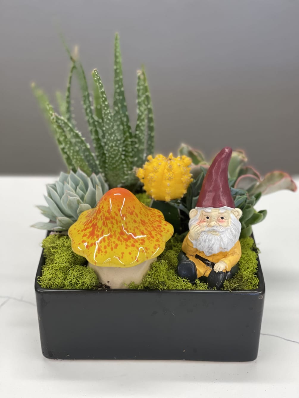 Happy yellow home gnome amongst an easy to care for succulent garden-