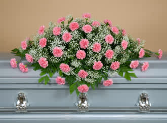 A beautiful half casket spray of pink carnations and babies breath.