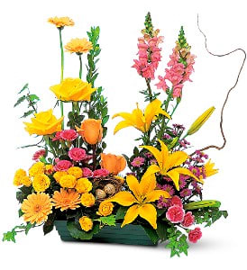 Send this garden design cut arrangement of lilies, snapdragons, gerbera daisies, spray