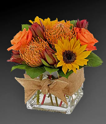 A little cube vase of tropical sunshine for the one you love.