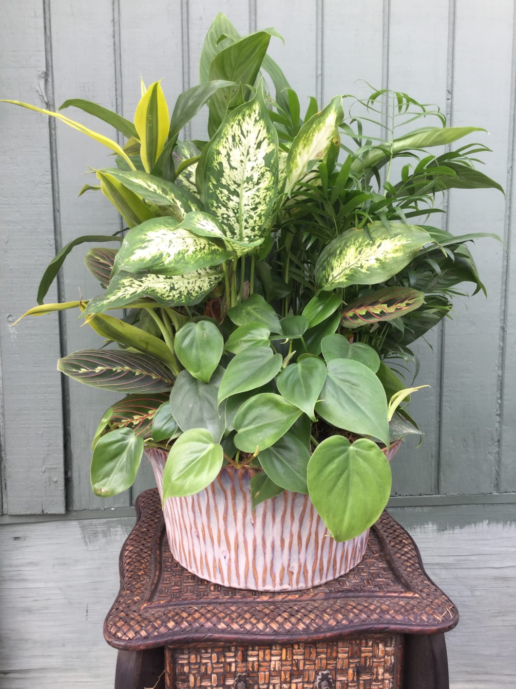 Lush assortment of green indoor plants in a ceramic container. Containers may