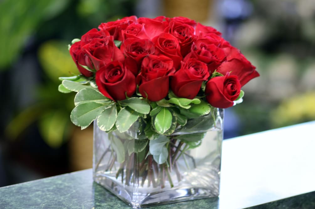 2 Dozen Red Roses in a glass cube 