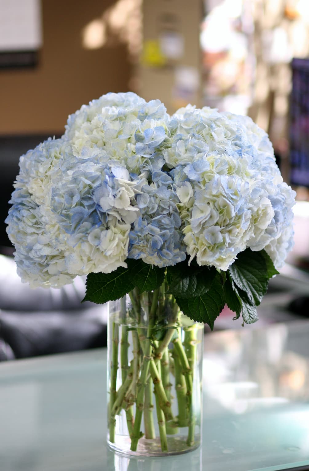 Something cool for home or office - vase of hydrangeas
 