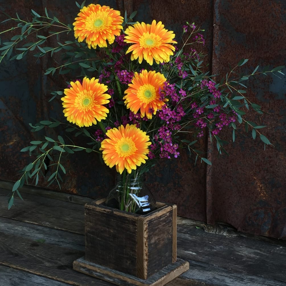 Eucalyptus and wax flower attend the queens of cheer, sunny Gerbera daisies.