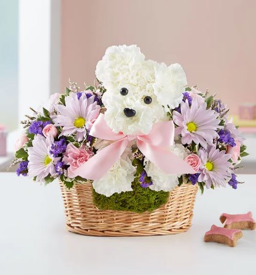 When it comes to new baby gifts, our truly original arrangement is