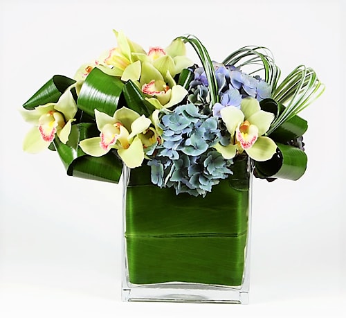 Green Cymbidiums sit on a cloud of Hydrangea Blossoms and Ti leaves