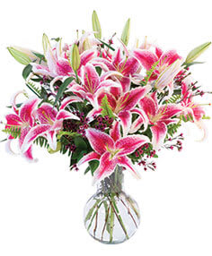 Clear Ginger Vase with Pink Stargazer Lilies,  Pink Waxflower, Sword Fern