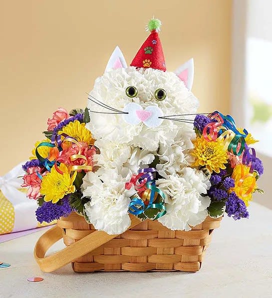Every birthday party needs a party animal&hellip;especially one as cute as ours!