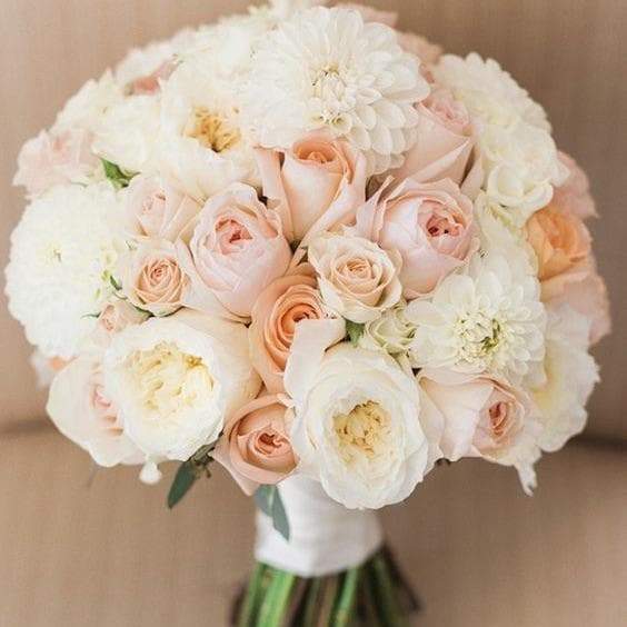 Blush roses are exact choice if you wanna make your day elegant