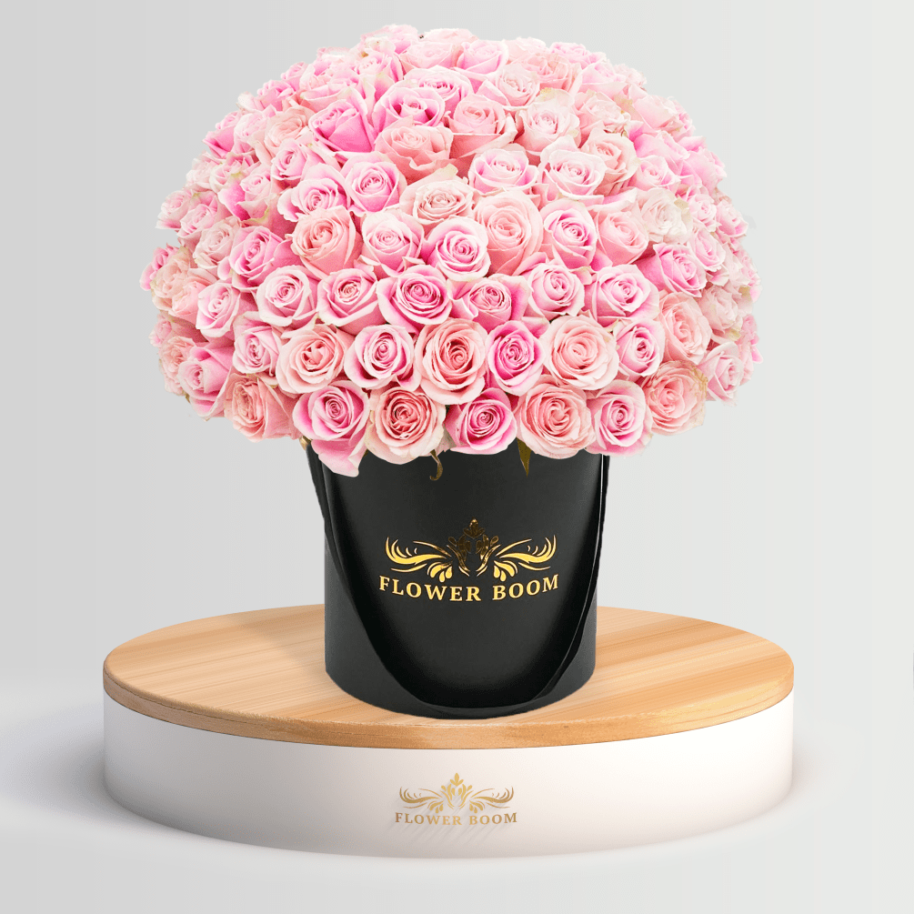 Take a look at this box! Classic white &amp; pink garden roses