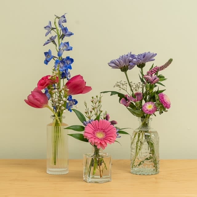 These bud vases would be perfect for a &quot;reveal&#039; party! Sold in