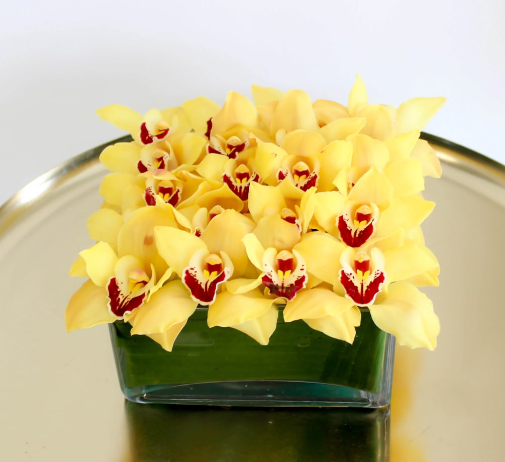 Vibrant and elegant, rows of sunshine yellow tropical cymbidium orchids are designed