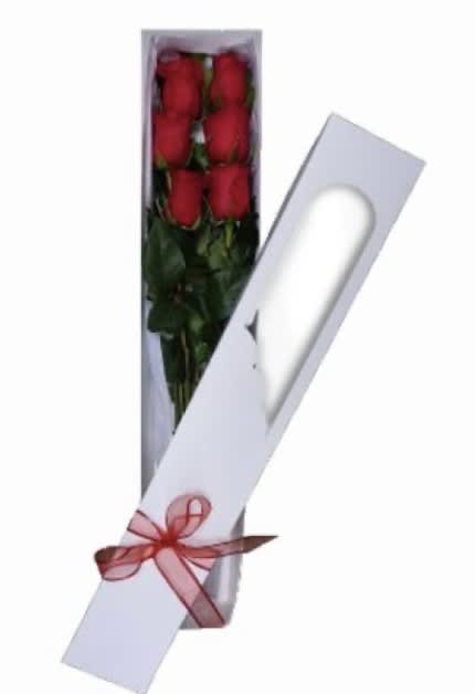 Fine box of 6 roses.
Reference measurements: 23&quot; x 5&quot; inches Approximate.
Each rose