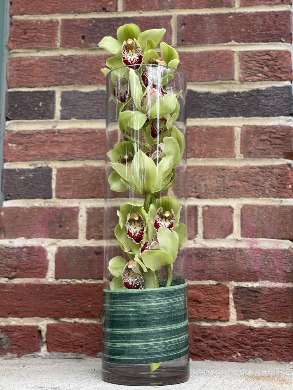 A single cymbidium orchid stem in glass cylinder vase for any special