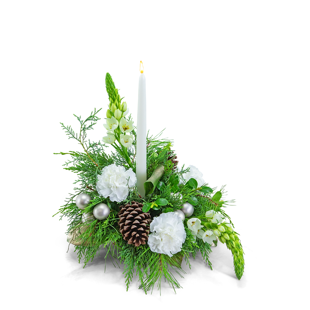 Light up your table with this stunning centerpiece! Carnations, Star of Bethlehem